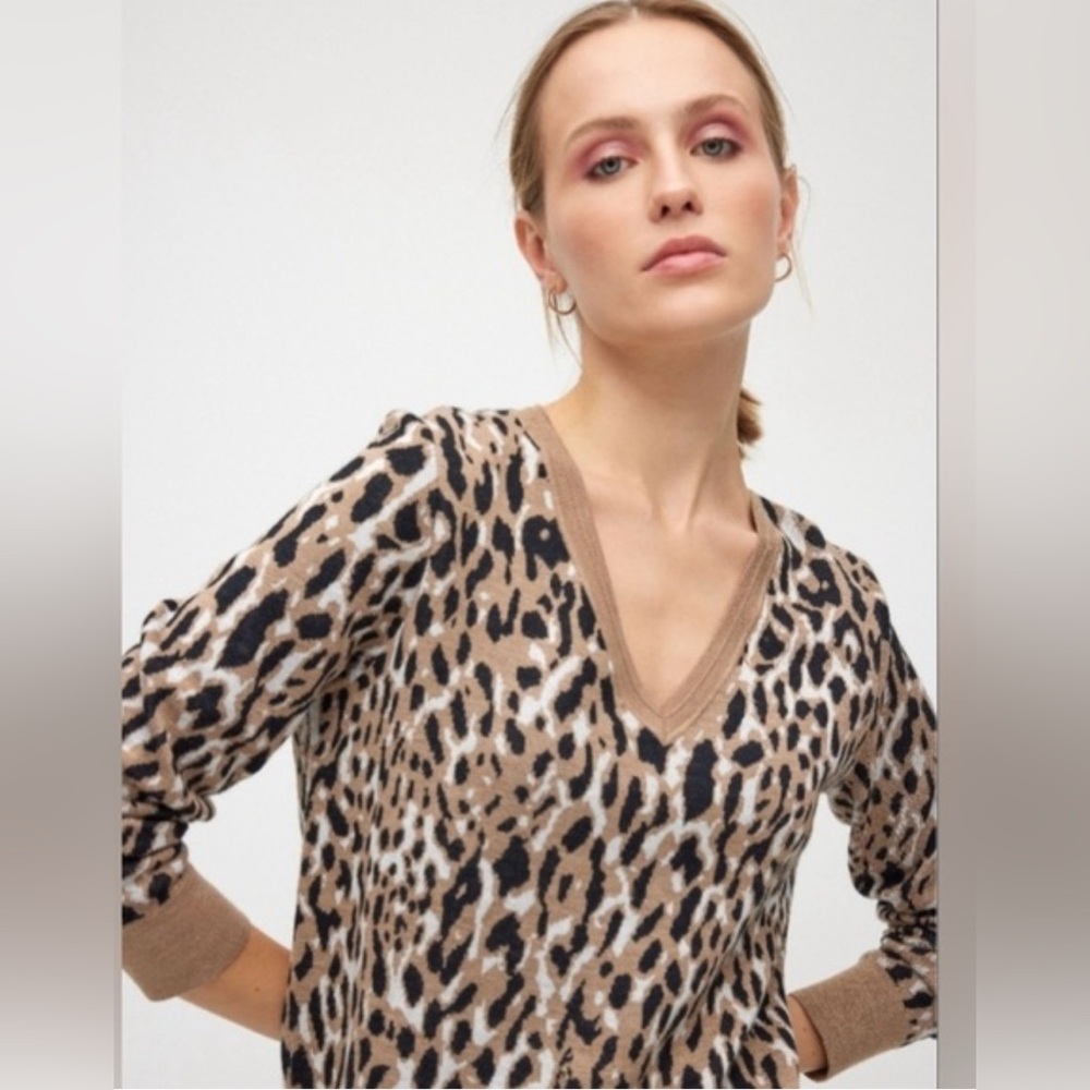 Banana Republic Leopard Print V-Neck Sweater in Tan and Black
